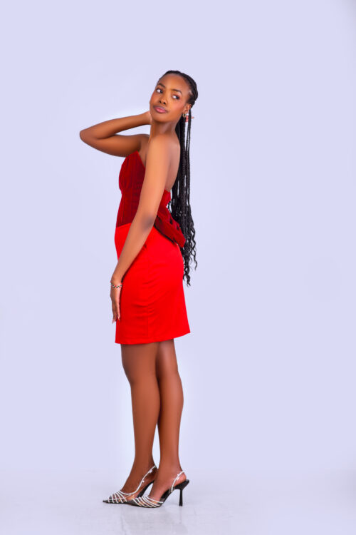 Velvet Blended Corset Dress.